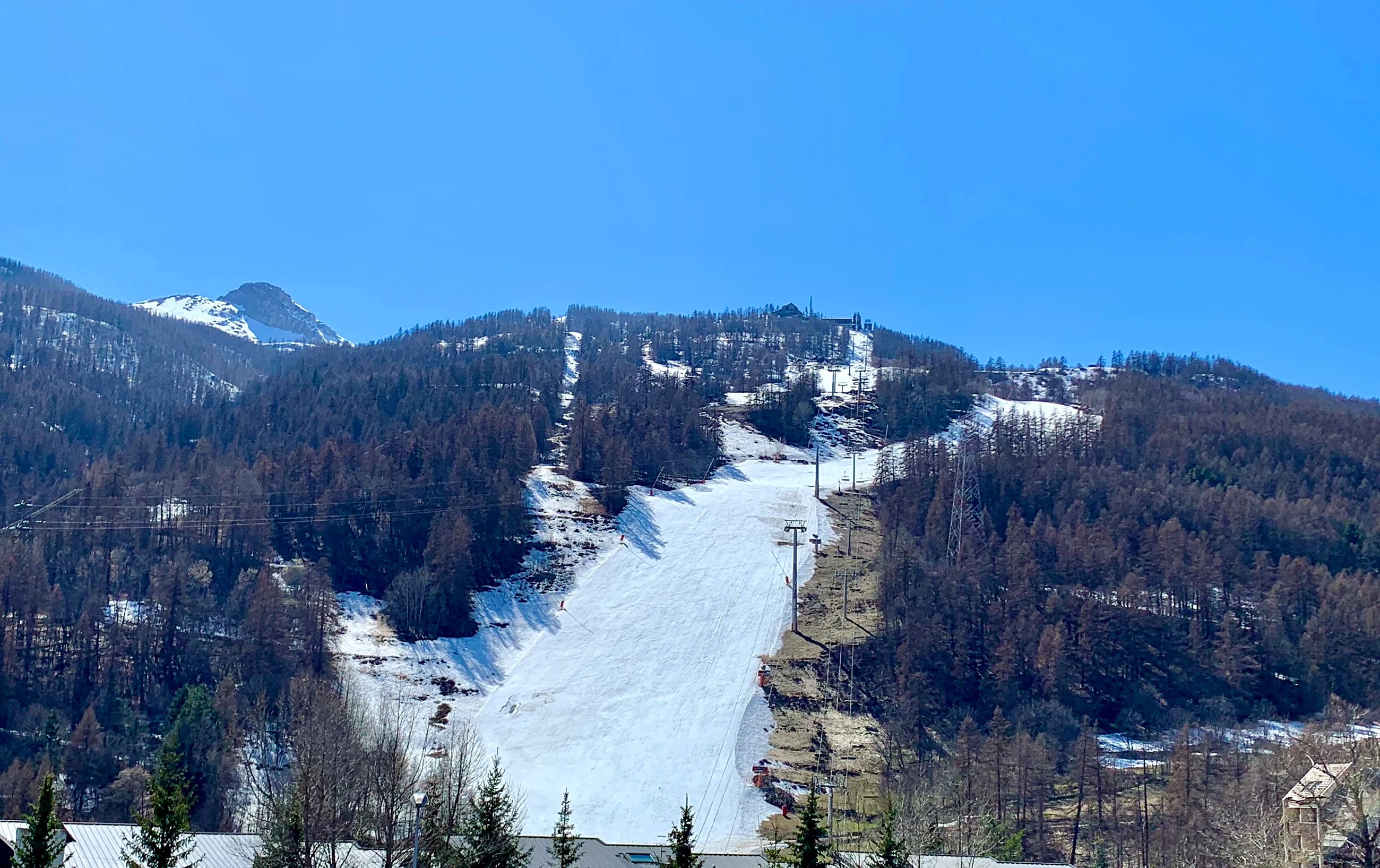 The Luc Alphand piste running down through larch forest opposite the hotel
